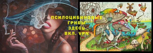 каннабис Аркадак