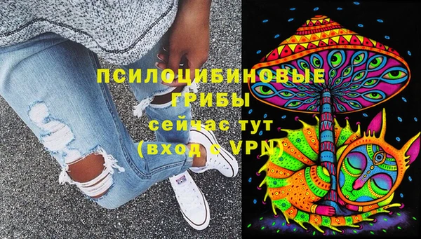 каннабис Аркадак