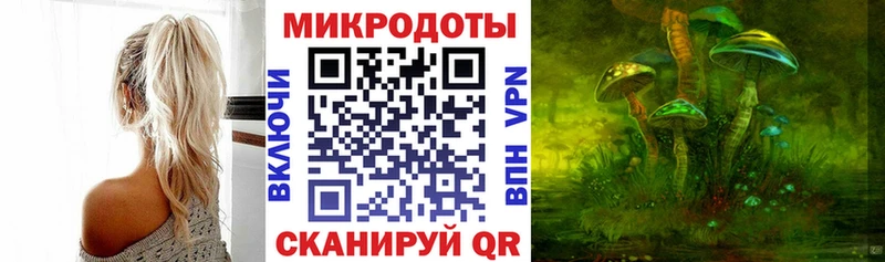 Галлюциногенные грибы Psilocybe  кракен маркетплейс  Полярные Зори 